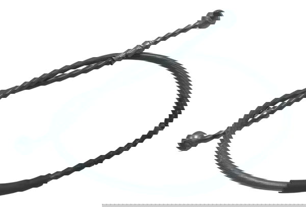 Flexível Freio Diant C/ Det Bmw R1250 R 1250 Gs 19-24 Orig