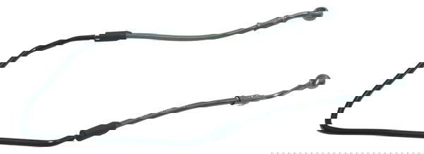 Flexível Freio Traseiro Bmw R1250 R 1250 Gs 19-24 Original