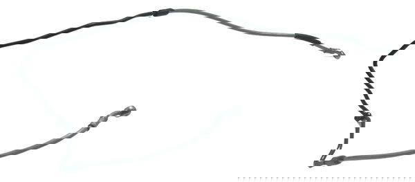 Flexível Freio Traseiro Bmw R1250 R 1250 Gs 19-24 Original