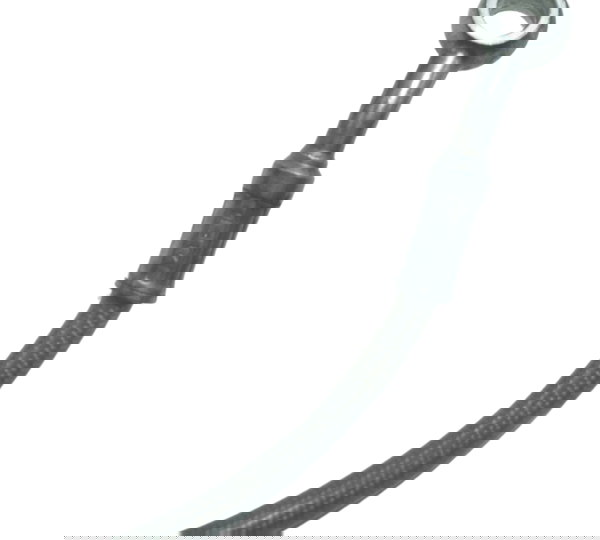 Flexível Freio Traseiro Bmw R1250 R 1250 Gs 19-24 Original