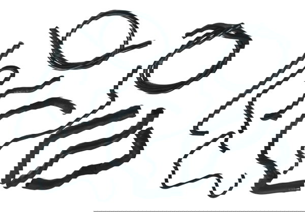 Kit Mangueiras Bmw R1250 R 1250 Gs 19-24 Original