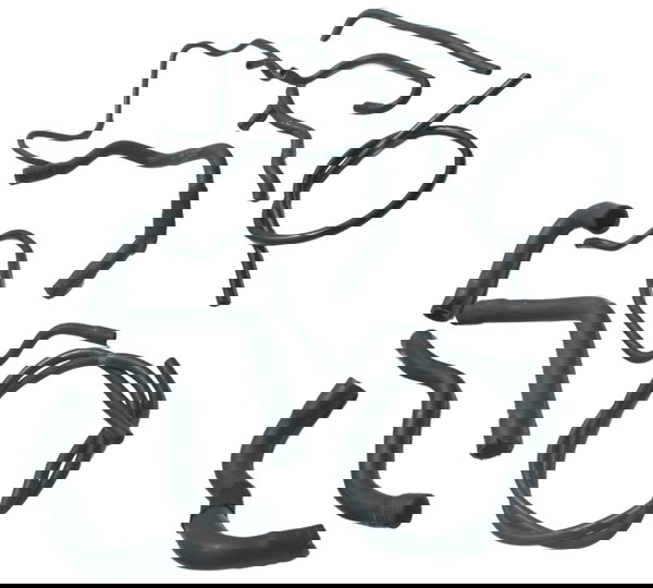 Kit Mangueiras Bmw R1250 R 1250 Gs 19-24 Original