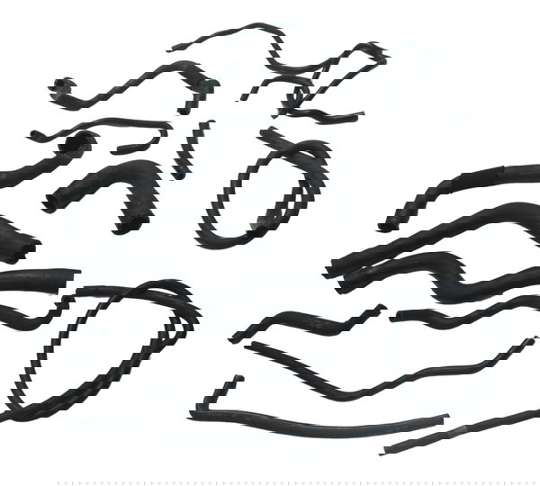 Kit Mangueiras Bmw R1250 R 1250 Gs 19-24 Original