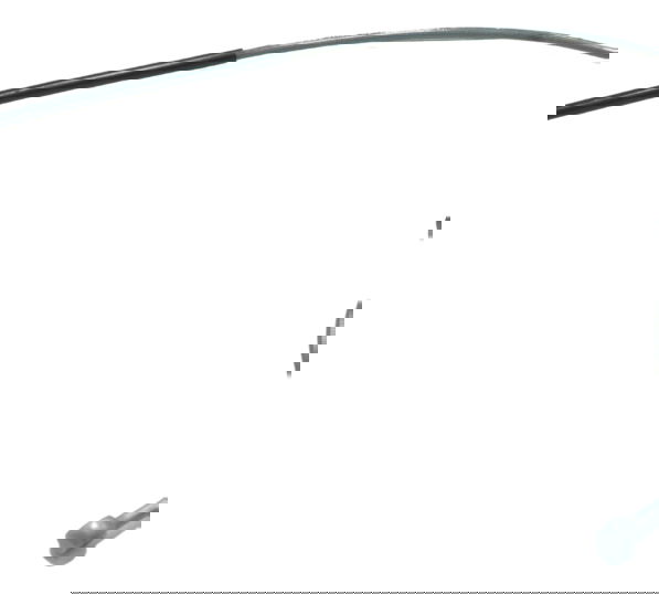 Flexível Freio Traseiro Bmw R1250 R 1250 Gs 19-24 Original