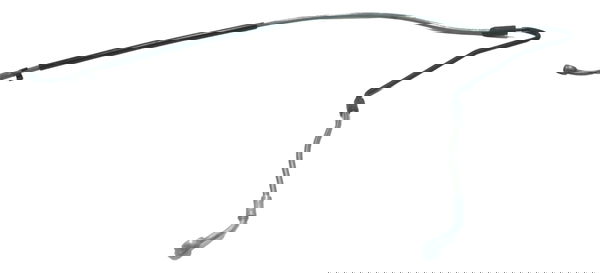 Flexível Freio Traseiro Bmw R1250 R 1250 Gs 19-24 Original