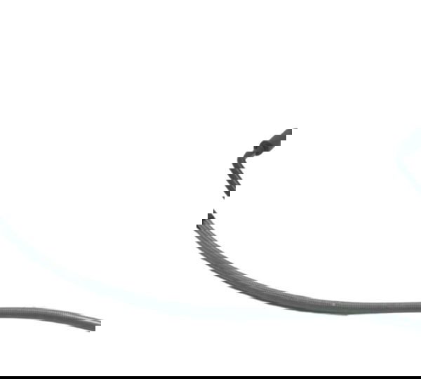 Flexível Freio Traseiro Bmw R1250 R 1250 Gs 19-24 Original