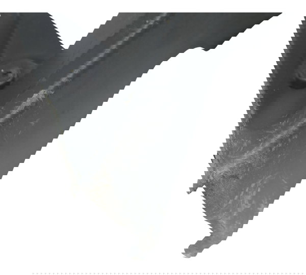 Carenagem Dir C/ Detalhes Honda Xl 1000 Varadero 07-09 Orig Preto