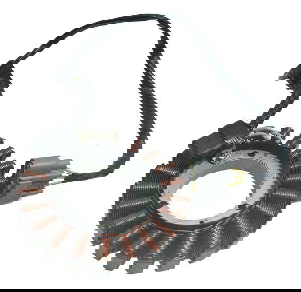 Estator Bmw R1250 R 1250 Gs 19-24 Original