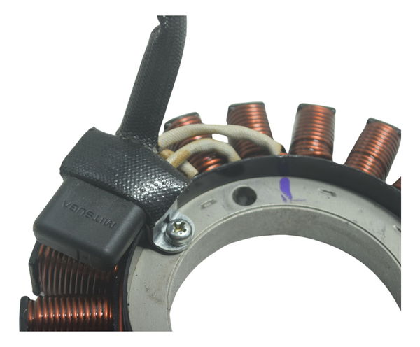 Estator Bmw R1250 R 1250 Gs 19-24 Original