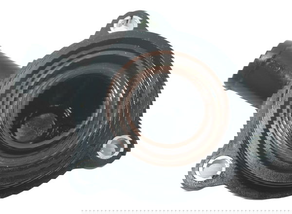 Tampa Conexão Água Bmw R1250 R 1250 Gs 19-24 Original