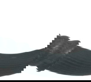 Flexível Freio Dianteiro Honda Xl 1000 Varadero 07-09 Orig