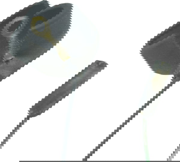 Chicote Motor Honda Xl 1000 Varadero 07-09 Original