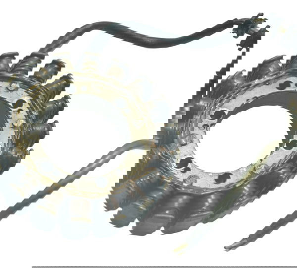 Estator C/ Avaria Honda Vt Shadow 600 C 95-05 Original