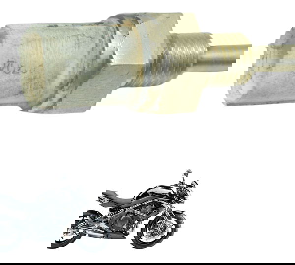 Sensor Temperatura Kawasaki Er6n 10-14 Original