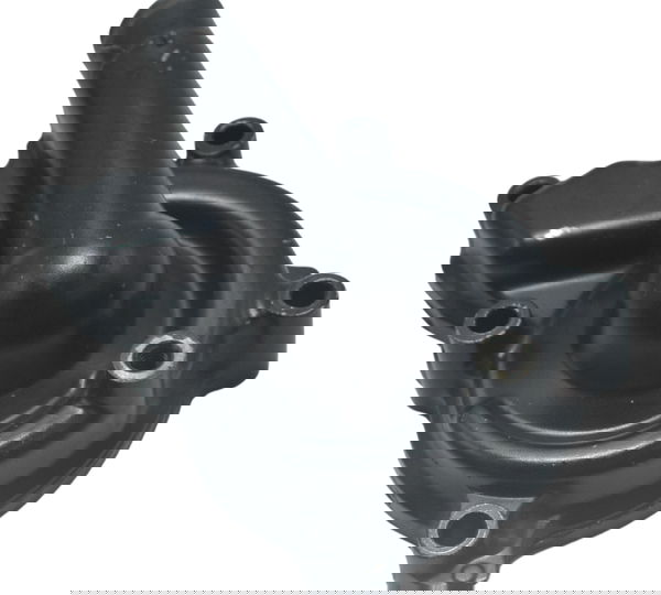 Tampa Bomba Água Kawasaki Er6n 10-14 Original