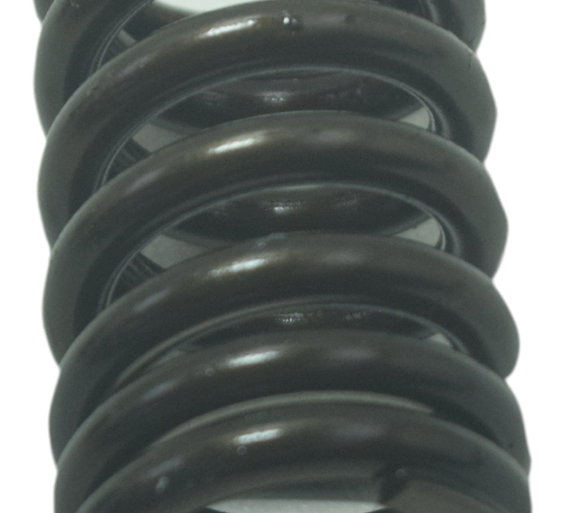 Mola De Válvula Kawasaki Er6n 10-14 Original