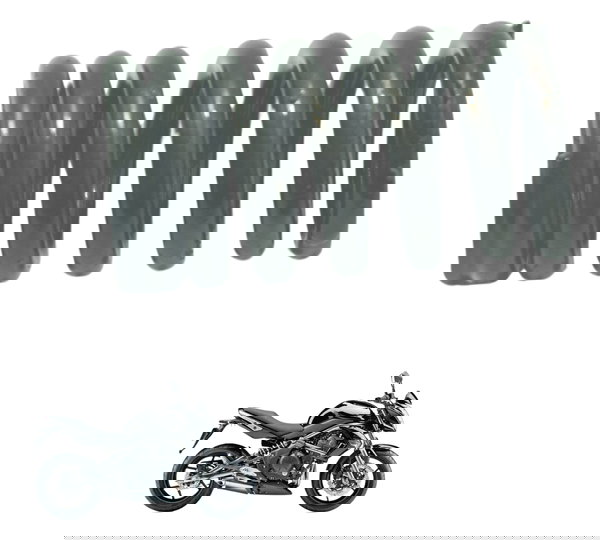 Mola De Válvula Kawasaki Er6n 10-14 Original