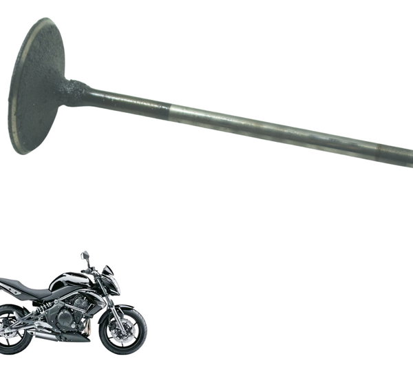 Válvula Admissão Kawasaki Er6n 10-14 Original
