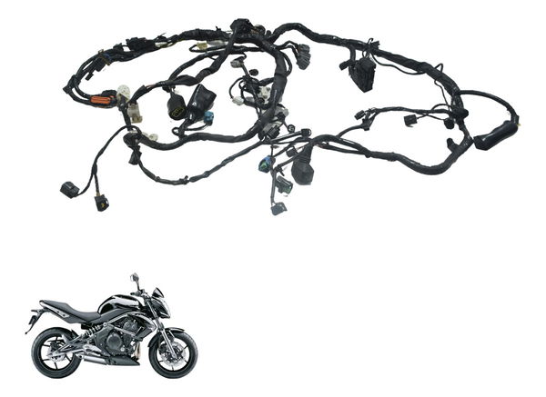 Chicote Principal Abs Kawasaki Er6n 10-14 Original