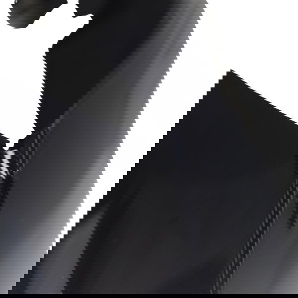 Bico Frontal C/ Avaria  Bmw R1200 R 1200 13-19 Original Preto