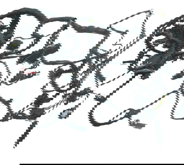 Chicote Principal C/ Detalhes  Bmw R1200 R 1200 13-19 Orig