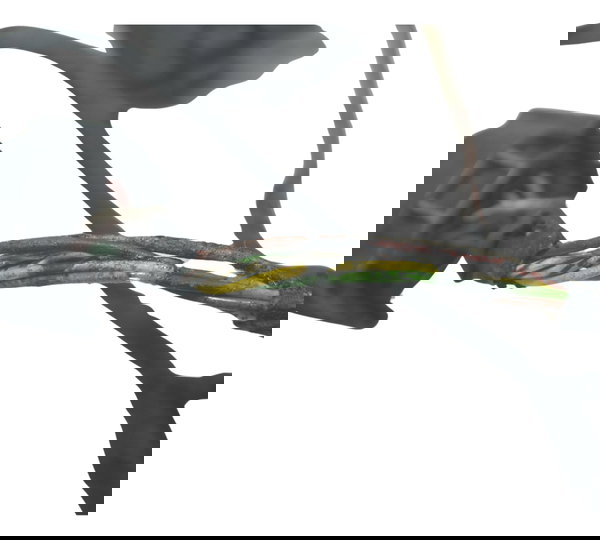 Chicote Principal C/ Detalhes  Bmw R1200 R 1200 13-19 Orig