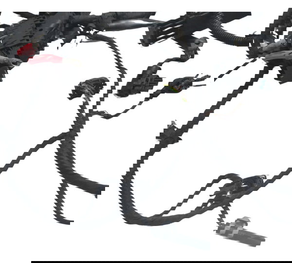 Chicote Principal C/ Detalhes  Bmw R1200 R 1200 13-19 Orig