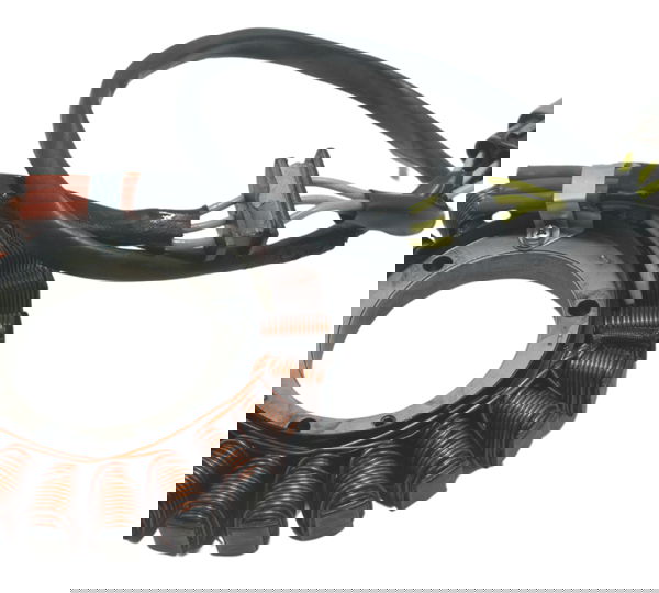 Estator Recondicionado Bmw R1200 R 1200 13-19 Original