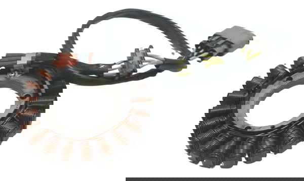 Estator Recondicionado Bmw R1200 R 1200 13-19 Original