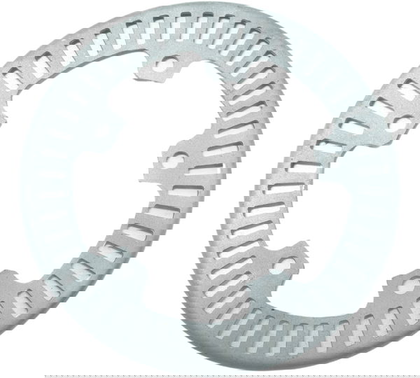 Roda Fônica Dianteira Bmw R1200 R 1200 13-19 Original