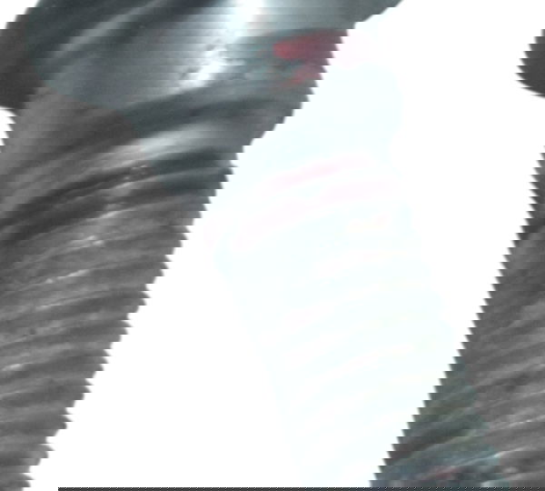 Parafuso Pinça Freio Honda Vt Shadow 600 C 95-05 Original