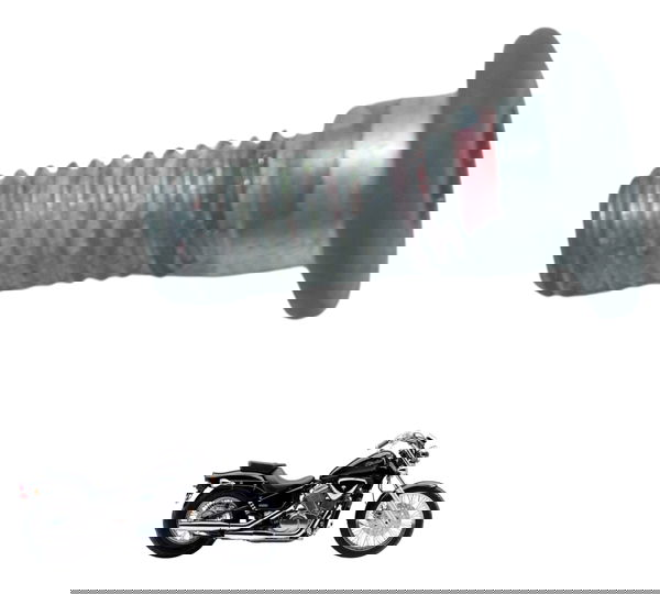 Parafuso Pinça Freio Honda Vt Shadow 600 C 95-05 Original