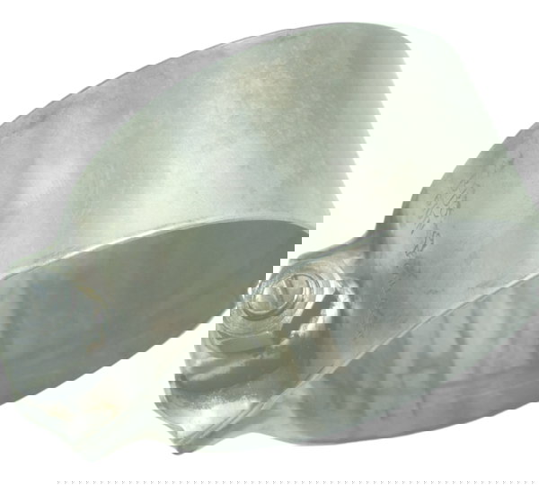 Abraçadeira Escape Bmw R1200 R 1200 13-19 Original