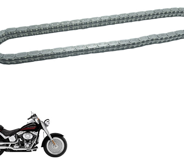 Corrente Primaria Harley Davidson Fat Boy 07-11 Original Cinza