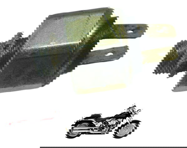 Interruptor Freio Harley Davidson Fat Boy 07-11 Original