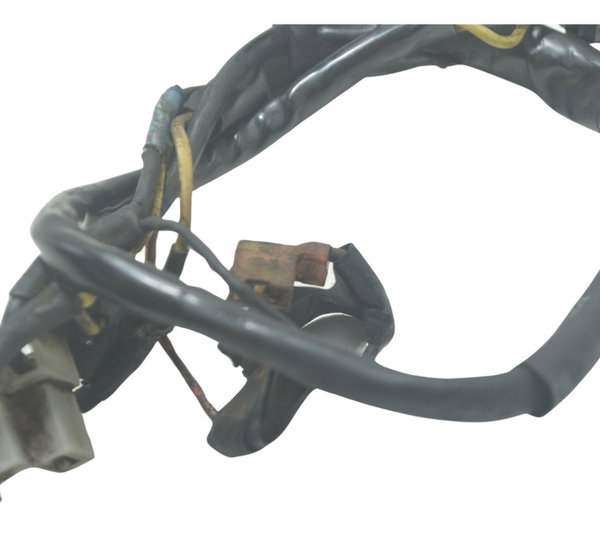 Chicote Elétrico Harley Davidson Fat Boy 07-11 Original