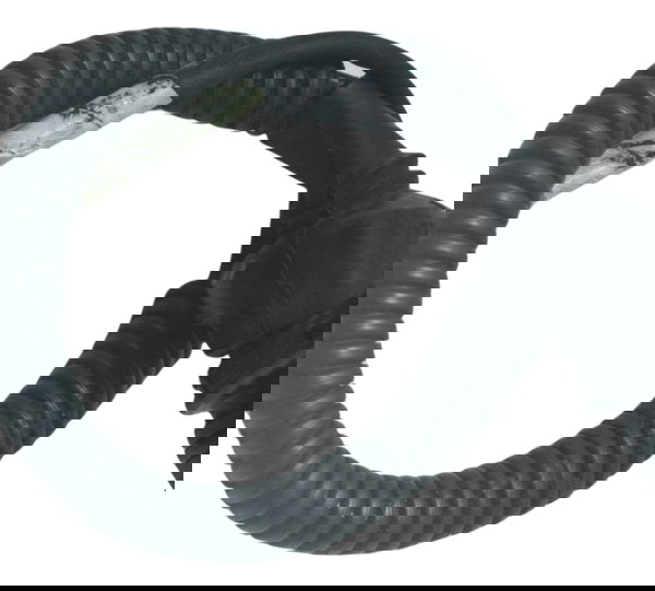 Sensor Ckp C/ Avaria Harley Davidson Fat Boy 07-11 Original