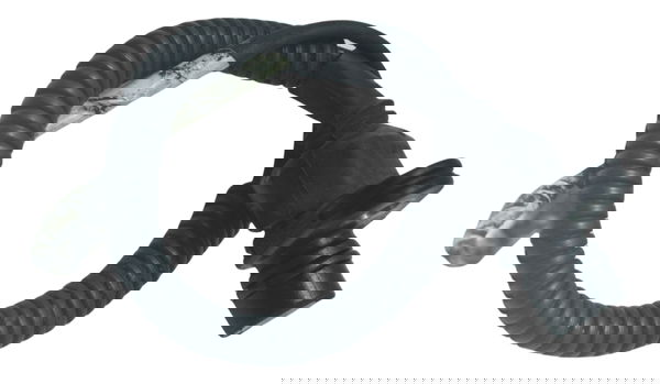 Sensor Ckp C/ Avaria Harley Davidson Fat Boy 07-11 Original