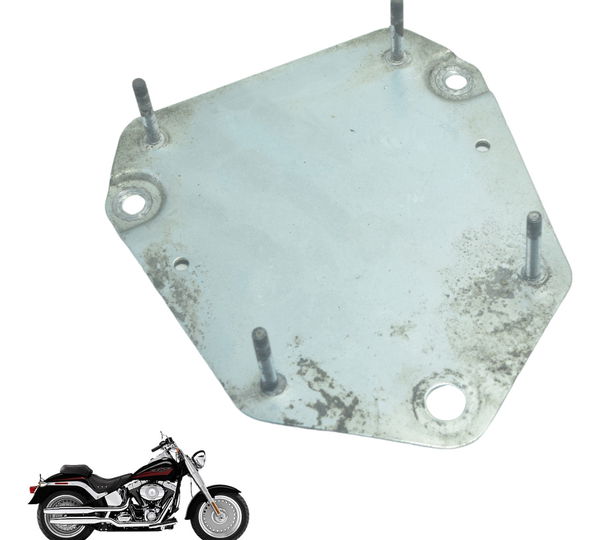 Suporte Modulo Harley Davidson Fat Boy 07-11 Original