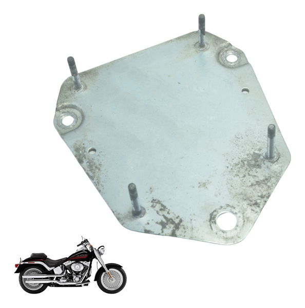 Suporte Modulo Harley Davidson Fat Boy 07-11 Original