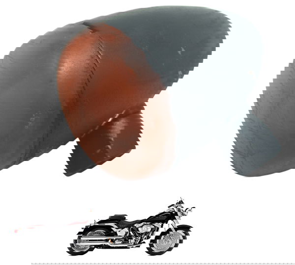 Pisca Traseir C/ Detalhes Harley Davidson Fat Boy 07-11 Orig