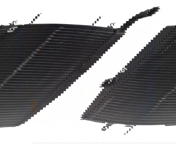 Radiador Honda Cbr 600 Rr 07-14 Original