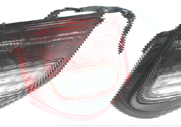 Lanterna Traseira Honda Cbr 600 Rr 07-14 Original