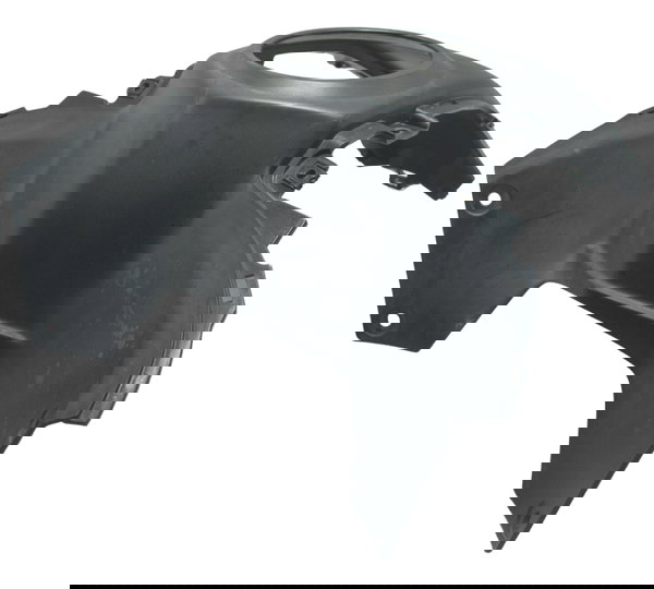 Capa Tanque Central Yamaha Xtz Lander 250 19-22 Original