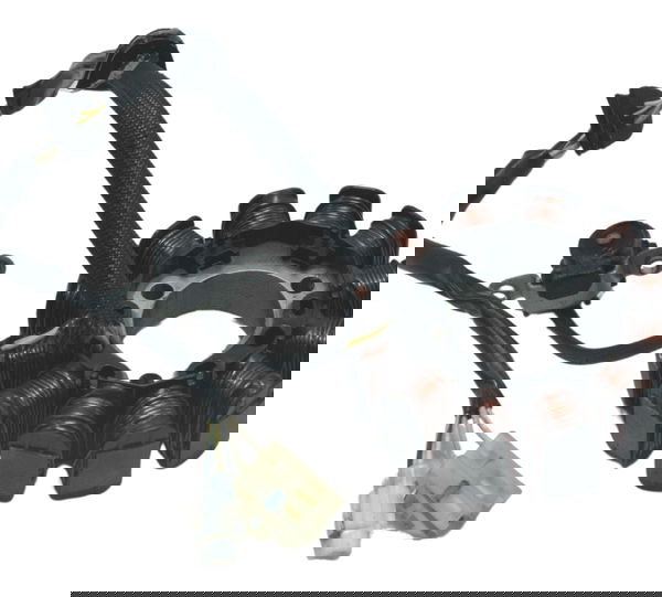 Estator Yamaha Xtz Lander 250 19-22 Original