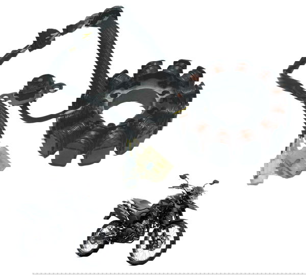 Estator Yamaha Xtz Lander 250 19-22 Original