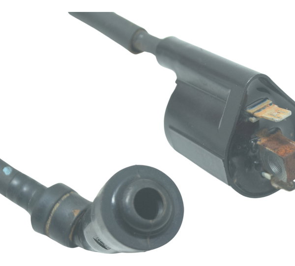 Bobina Ignição Yamaha Xtz Lander 250 19-22 Original