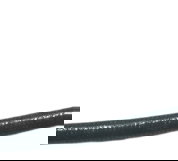 Sensor Temperatura Yamaha Xtz Lander 250 19-22 Original