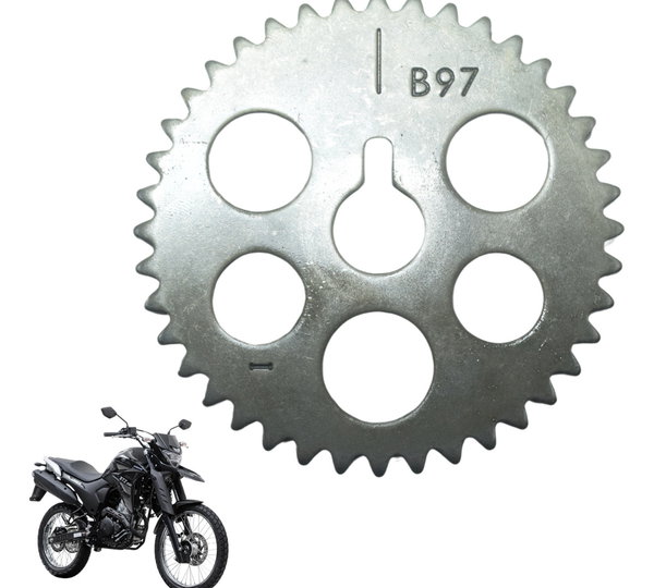 Engrenagem Comando Yamaha Xtz Lander 250 19-22 Original