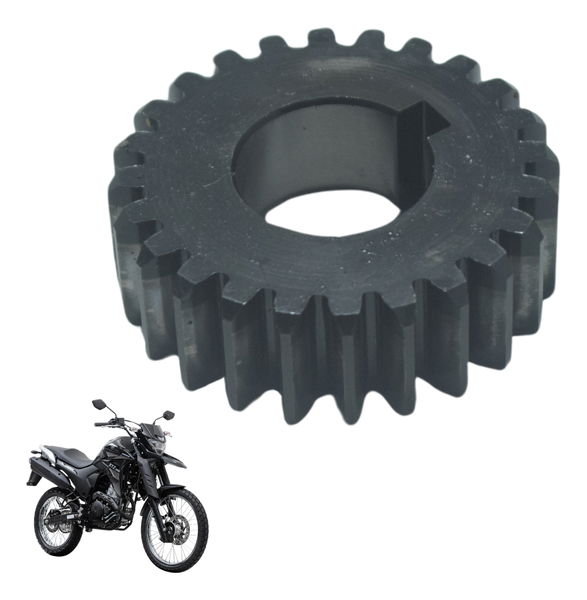 Engrenagem Motor Yamaha Xtz Lander 250 19-22 Original